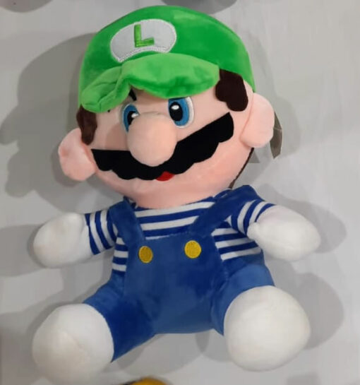 luigi avec super mario brosse